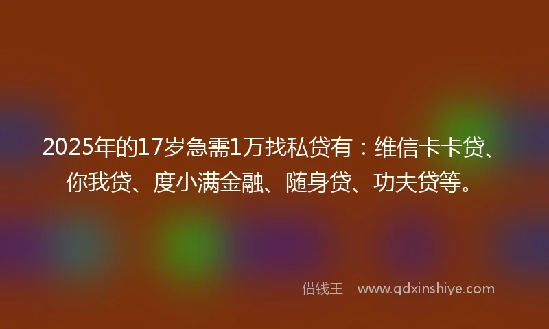 2025年的17岁急需1万找私贷有：维信卡卡贷、你我贷、度小满金融、随身贷、功夫贷等。