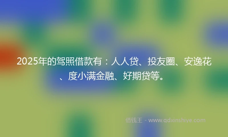 2025年的驾照借款有：人人贷、投友圈、安逸花、度小满金融、好期贷等。