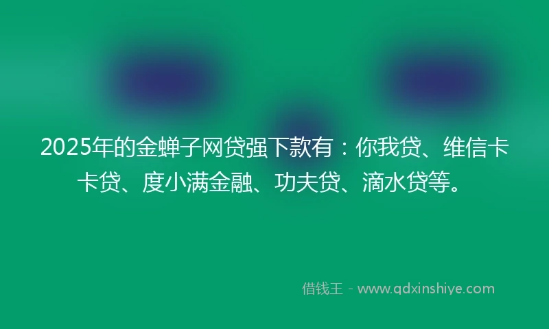 2025年的金蝉子网贷强下款有：你我贷、维信卡卡贷、度小满金融、功夫贷、滴水贷等。