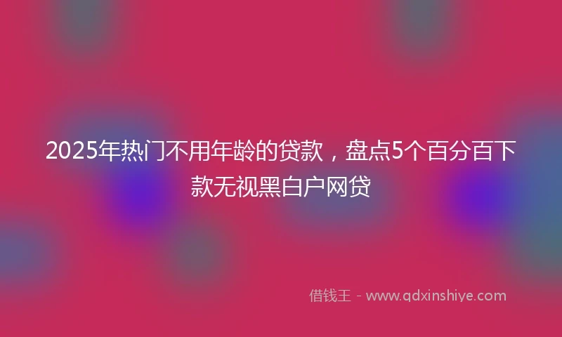 2025年热门不用年龄的贷款，盘点5个百分百下款无视黑白户网贷