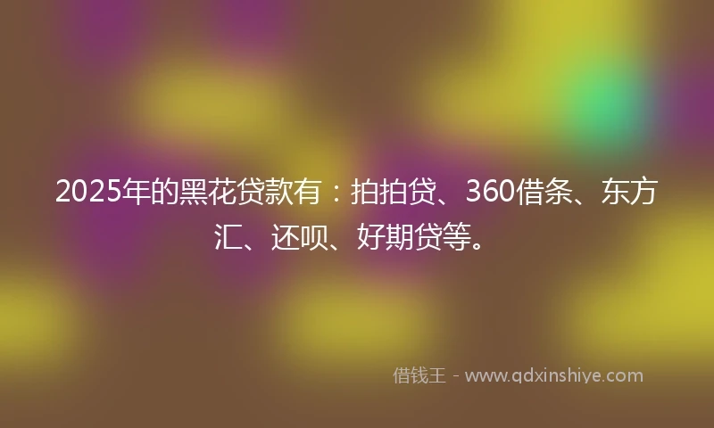 2025年的黑花贷款有：拍拍贷、360借条、东方汇、还呗、好期贷等。