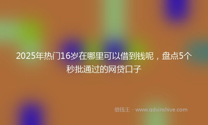2025年热门16岁在哪里可以借到钱呢，盘点5个秒批通过的网贷口子