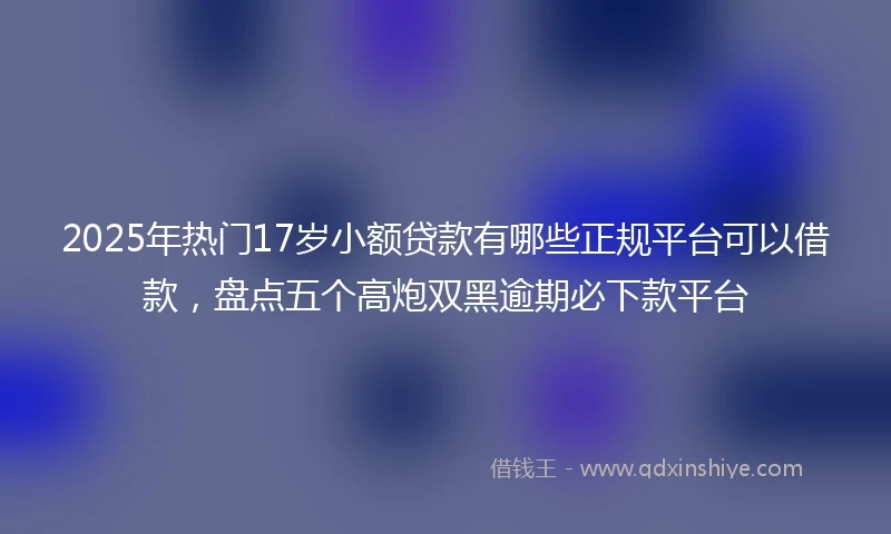 2025年热门17岁小额贷款有哪些正规平台可以借款，盘点五个高炮双黑逾期必下款平台