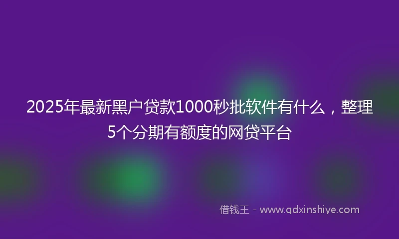 2025年最新黑户贷款1000秒批软件有什么，整理5个分期有额度的网贷平台