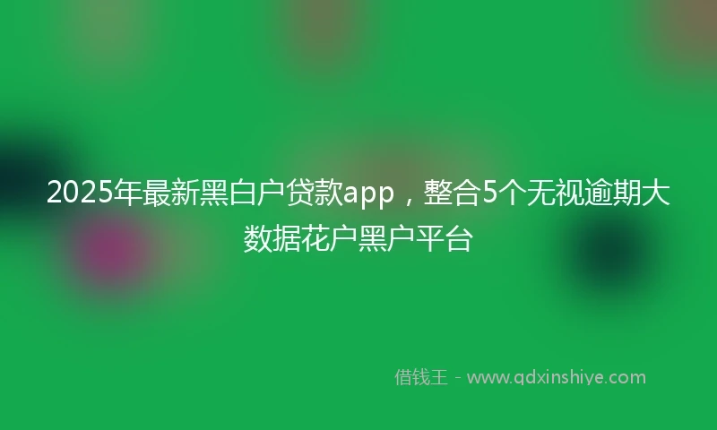 2025年最新黑白户贷款app，整合5个无视逾期大数据花户黑户平台
