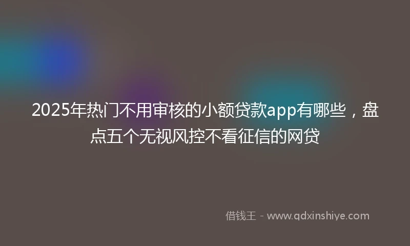2025年热门不用审核的小额贷款app有哪些，盘点五个无视风控不看征信的网贷