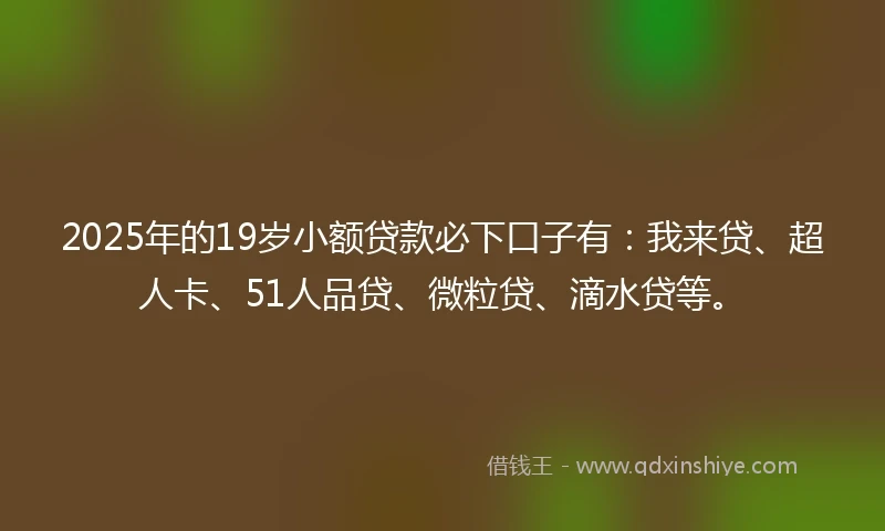 2025年的19岁小额贷款必下口子有：我来贷、超人卡、51人品贷、微粒贷、滴水贷等。