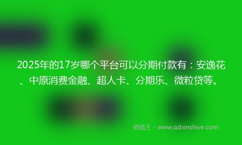 2025年的17岁哪个平台可以分期付款有：安逸花、中原消费金融、超人卡、分期乐、微粒贷等。