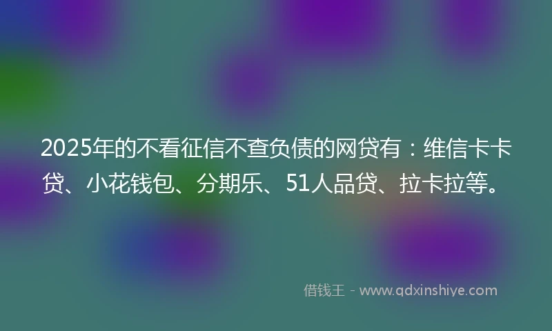2025年的不看征信不查负债的网贷有：维信卡卡贷、小花钱包、分期乐、51人品贷、拉卡拉等。