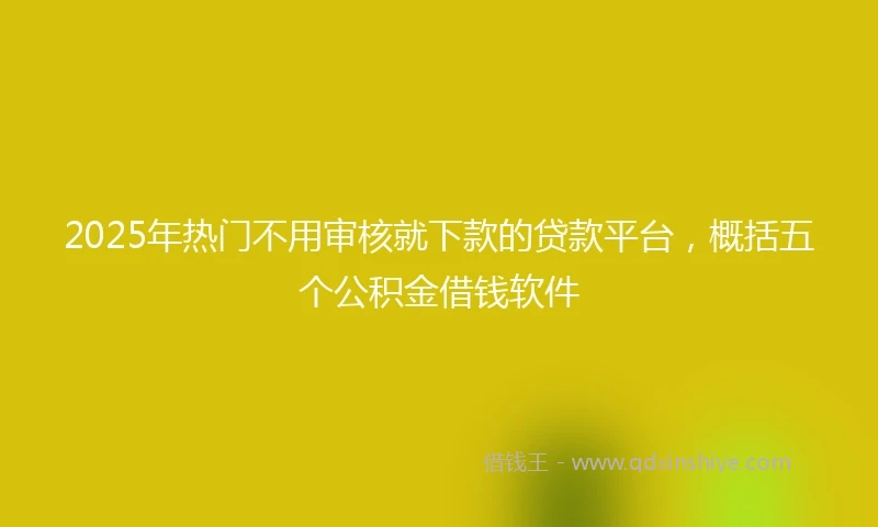 2025年热门不用审核就下款的贷款平台，概括五个公积金借钱软件