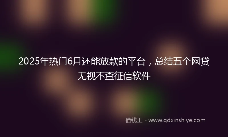 2025年热门6月还能放款的平台，总结五个网贷无视不查征信软件