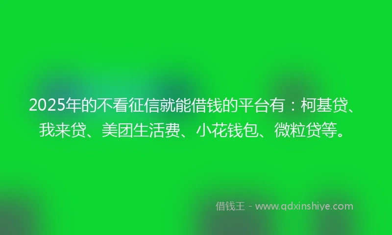 2025年的不看征信就能借钱的平台有:柯基贷、我来贷、美团生活费、小花钱包、微粒贷等。