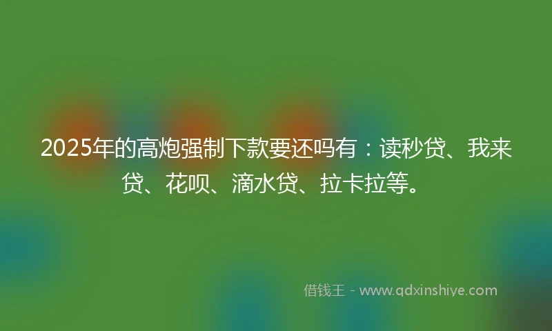 2025年的高炮强制下款要还吗有:读秒贷、我来贷、花呗、滴水贷、拉卡拉等。