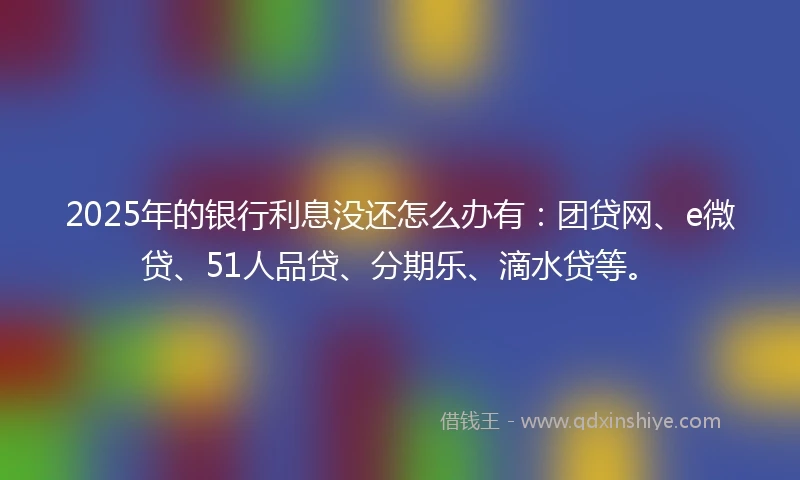 2025年的银行利息没还怎么办有：团贷网、e微贷、51人品贷、分期乐、滴水贷等。