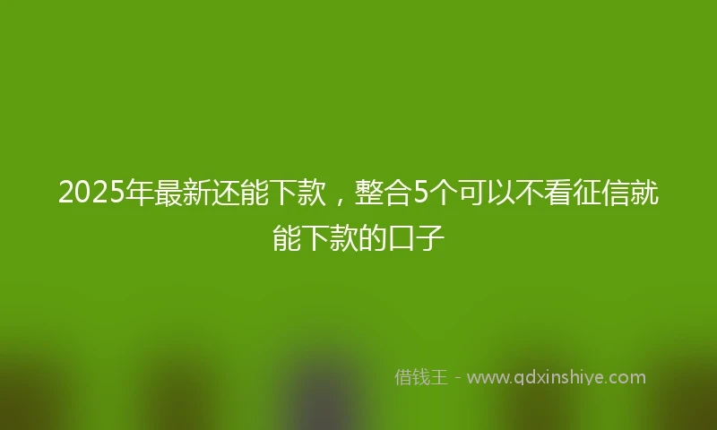 2025年最新还能下款,整合5个可以不看征信就能下款的口子