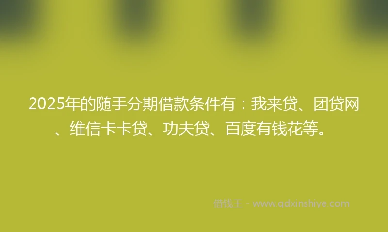 2025年的随手分期借款条件有：我来贷、团贷网、维信卡卡贷、功夫贷、百度有钱花等。
