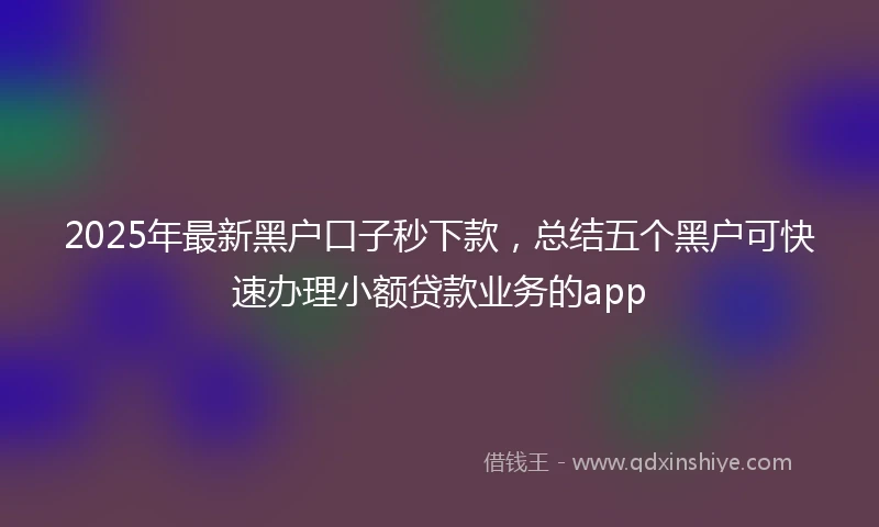 2025年最新黑户口子秒下款，总结五个黑户可快速办理小额贷款业务的app