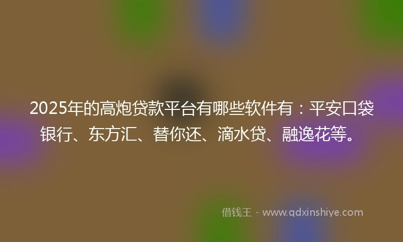 2025年的高炮贷款平台有哪些软件有：平安口袋银行、东方汇、替你还、滴水贷、融逸花等。