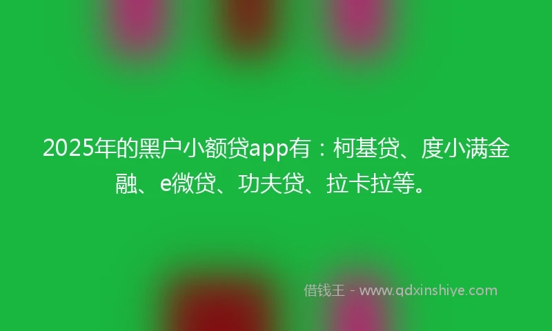 2025年的黑户小额贷app有：柯基贷、度小满金融、e微贷、功夫贷、拉卡拉等。