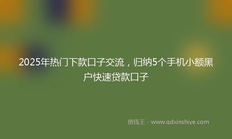 2025年热门下款口子交流，归纳5个手机小额黑户快速贷款口子