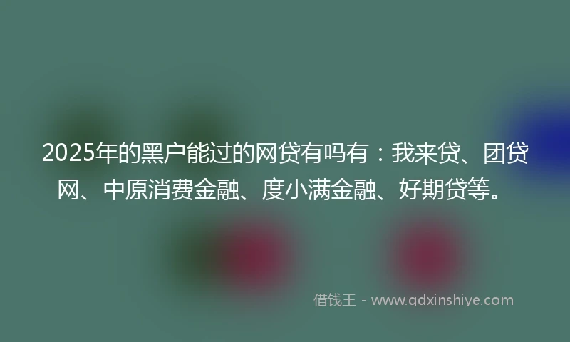 2025年的黑户能过的网贷有吗有：我来贷、团贷网、中原消费金融、度小满金融、好期贷等。