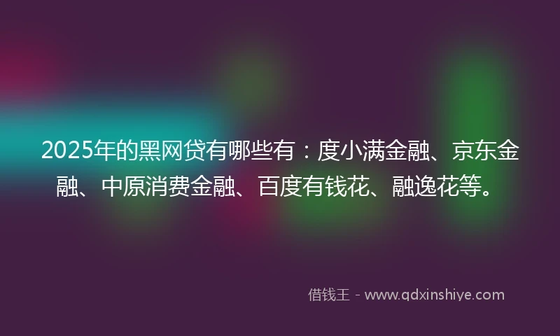 2025年的黑网贷有哪些有：度小满金融、京东金融、中原消费金融、百度有钱花、融逸花等。