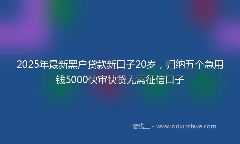 2025年最新黑户贷款新口子20岁，归纳五个急用钱5000快审快贷无需征信口子