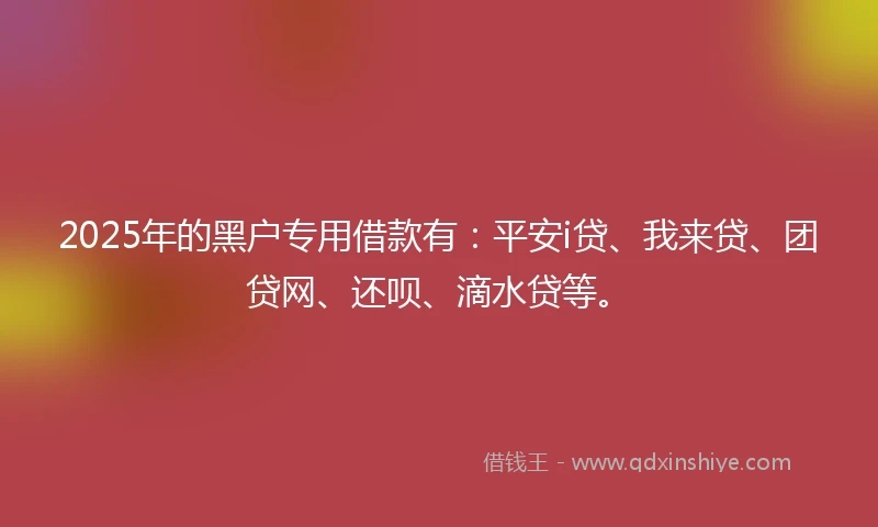 2025年的黑户专用借款有：平安i贷、我来贷、团贷网、还呗、滴水贷等。