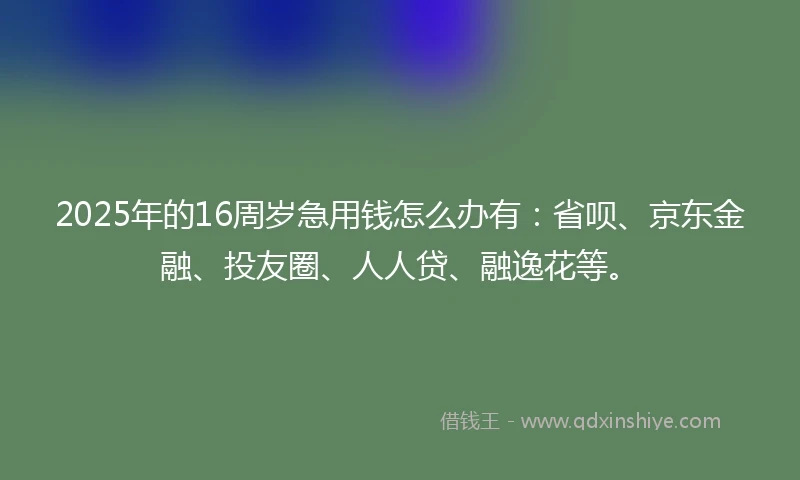 2025年的16周岁急用钱怎么办有：省呗、京东金融、投友圈、人人贷、融逸花等。
