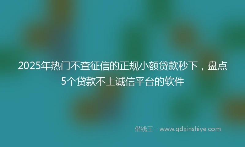 2025年热门不查征信的正规小额贷款秒下,盘点5个贷款不上诚信平台的软件