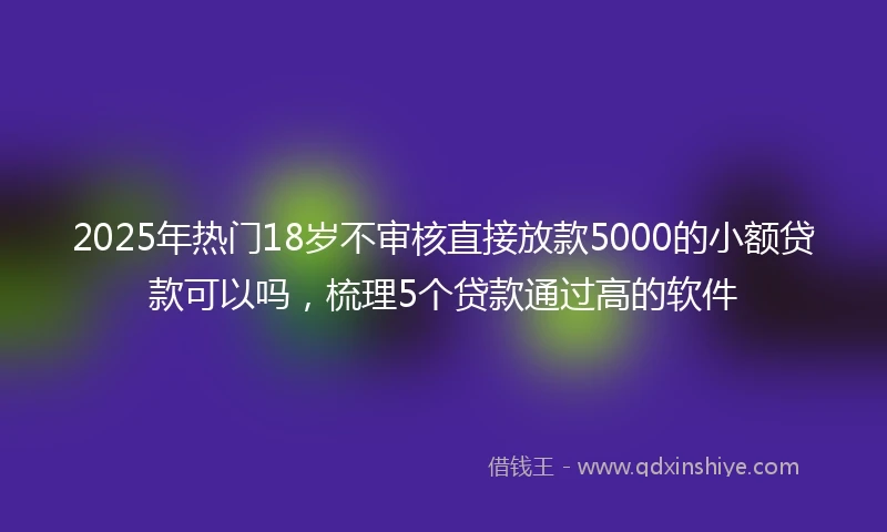 2025年热门18岁不审核直接放款5000的小额贷款可以吗，梳理5个贷款通过高的软件