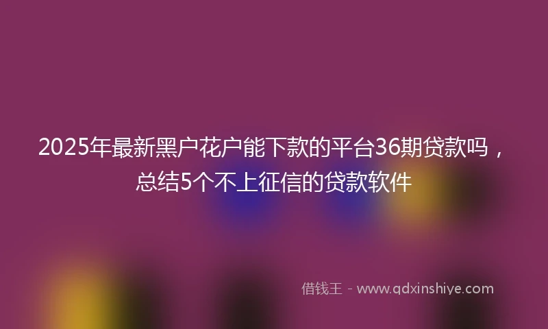 2025年最新黑户花户能下款的平台36期贷款吗，总结5个不上征信的贷款软件