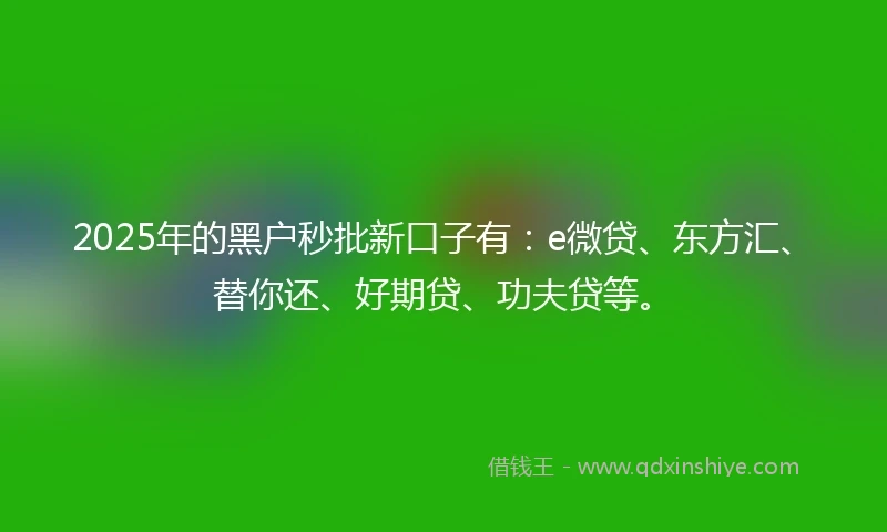 2025年的黑户秒批新口子有：e微贷、东方汇、替你还、好期贷、功夫贷等。