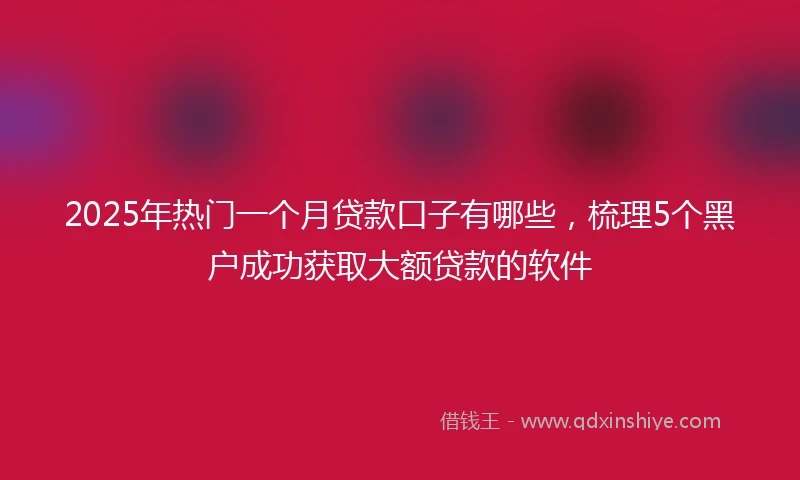 2025年热门一个月贷款口子有哪些，梳理5个黑户成功获取大额贷款的软件