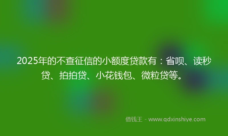 2025年的不查征信的小额度贷款有：省呗、读秒贷、拍拍贷、小花钱包、微粒贷等。