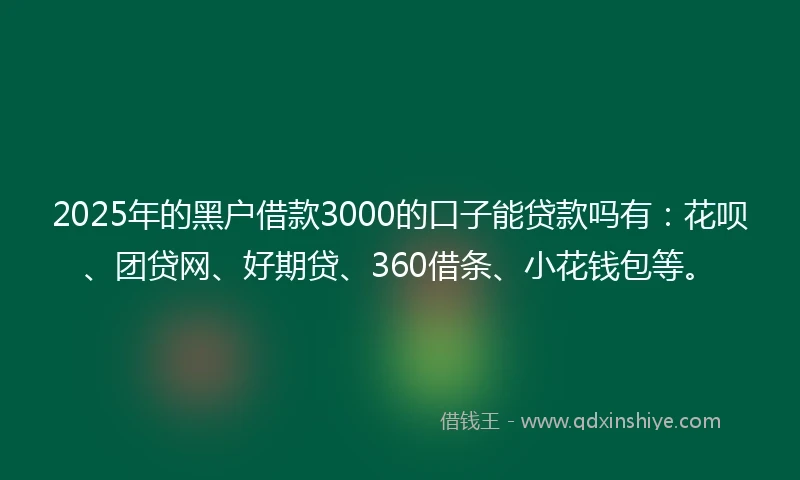 2025年的黑户借款3000的口子能贷款吗有：花呗、团贷网、好期贷、360借条、小花钱包等。