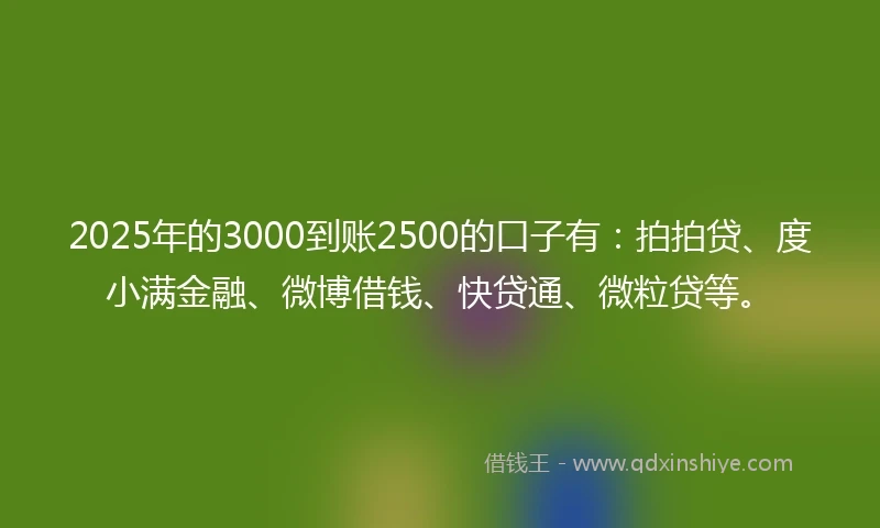 2025年的3000到账2500的口子有：拍拍贷、度小满金融、微博借钱、快贷通、微粒贷等。