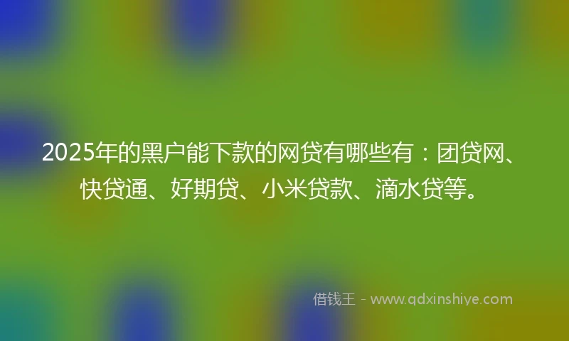 2025年的黑户能下款的网贷有哪些有：团贷网、快贷通、好期贷、小米贷款、滴水贷等。