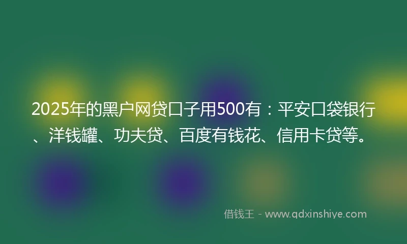 2025年的黑户网贷口子用500有：平安口袋银行、洋钱罐、功夫贷、百度有钱花、信用卡贷等。
