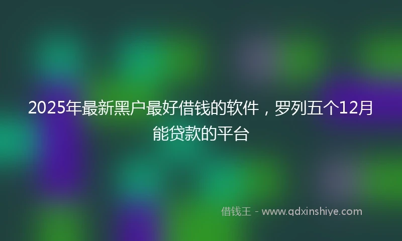 2025年最新黑户最好借钱的软件，罗列五个12月能贷款的平台