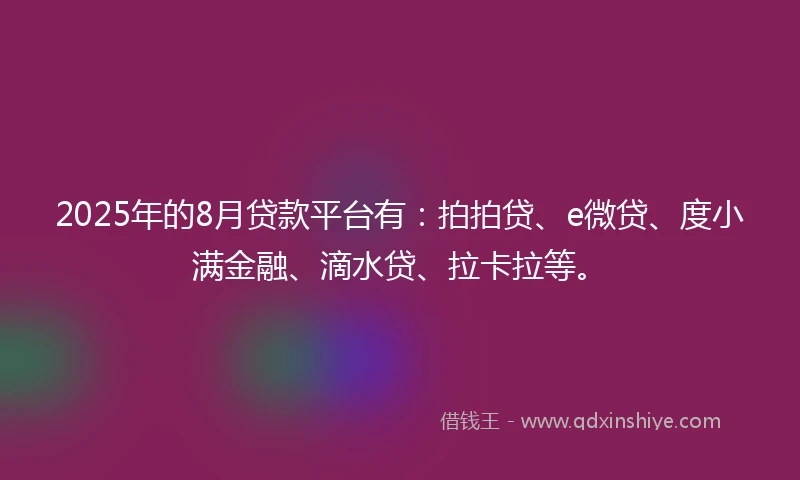 2025年的8月贷款平台有：拍拍贷、e微贷、度小满金融、滴水贷、拉卡拉等。