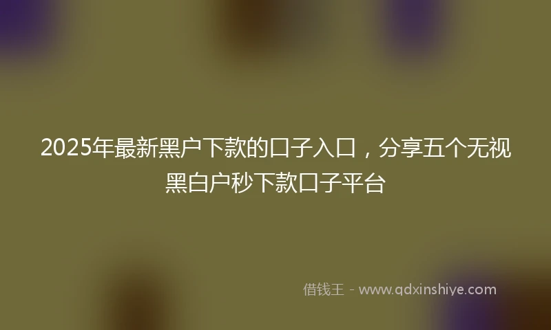2025年最新黑户下款的口子入口，分享五个无视黑白户秒下款口子平台