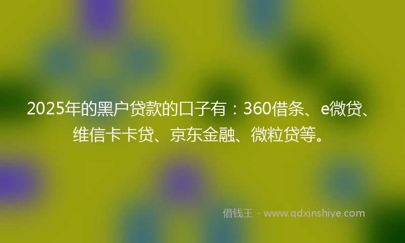 2025年的黑户贷款的口子有：360借条、e微贷、维信卡卡贷、京东金融、微粒贷等。