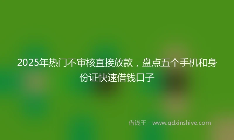 2025年热门不审核直接放款,盘点五个手机和身份证快速借钱口子