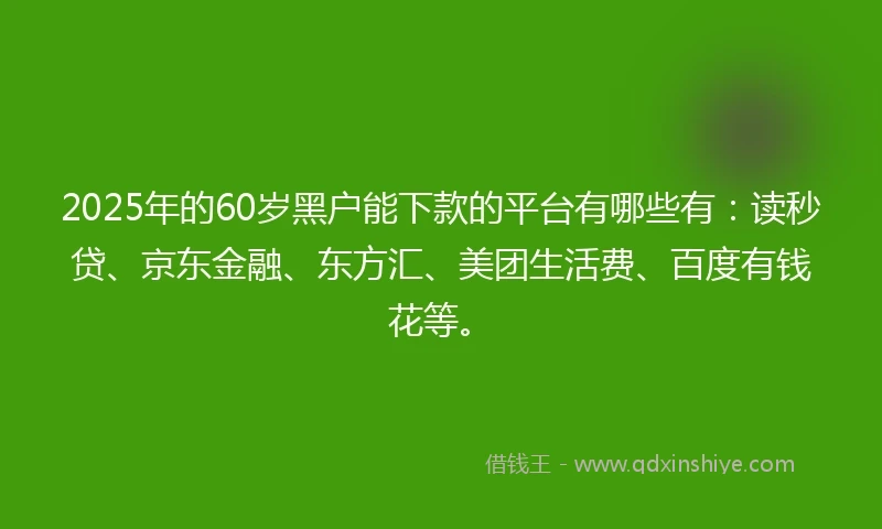2025年的60岁黑户能下款的平台有哪些有：读秒贷、京东金融、东方汇、美团生活费、百度有钱花等。