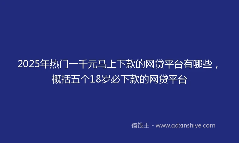 2025年热门一千元马上下款的网贷平台有哪些，概括五个18岁必下款的网贷平台