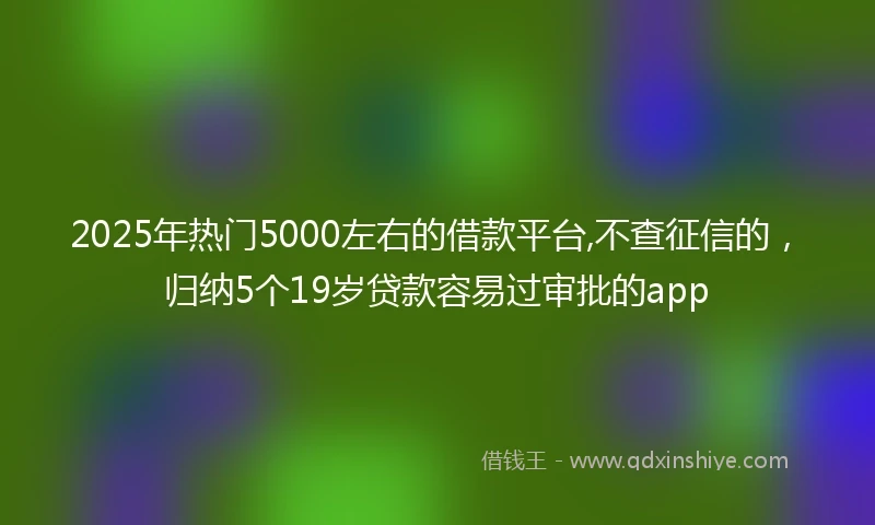 2025年热门5000左右的借款平台,不查征信的，归纳5个19岁贷款容易过审批的app