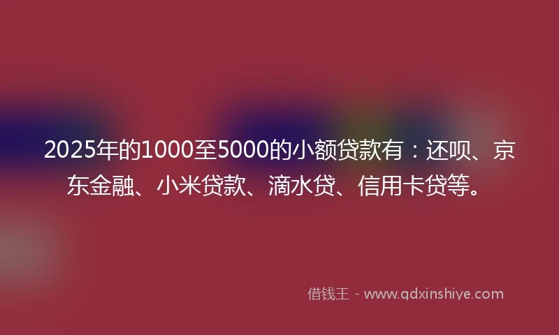 2025年的1000至5000的小额贷款有:还呗、京东金融、小米贷款、滴水贷、信用卡贷等。