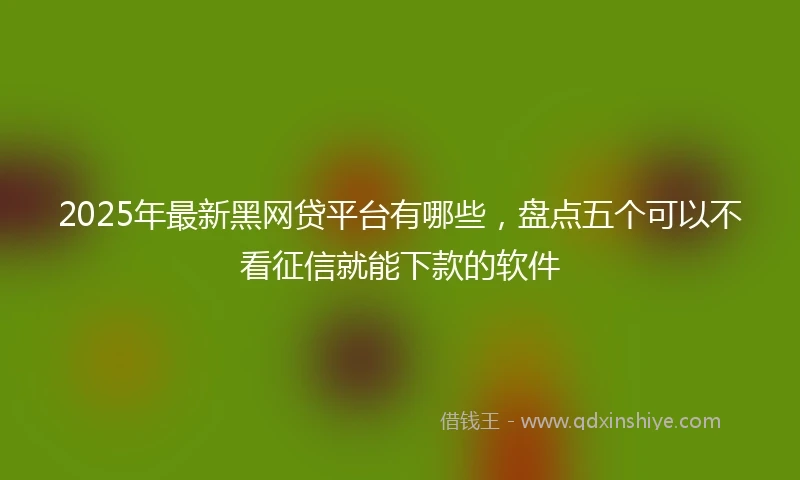 2025年最新黑网贷平台有哪些，盘点五个可以不看征信就能下款的软件