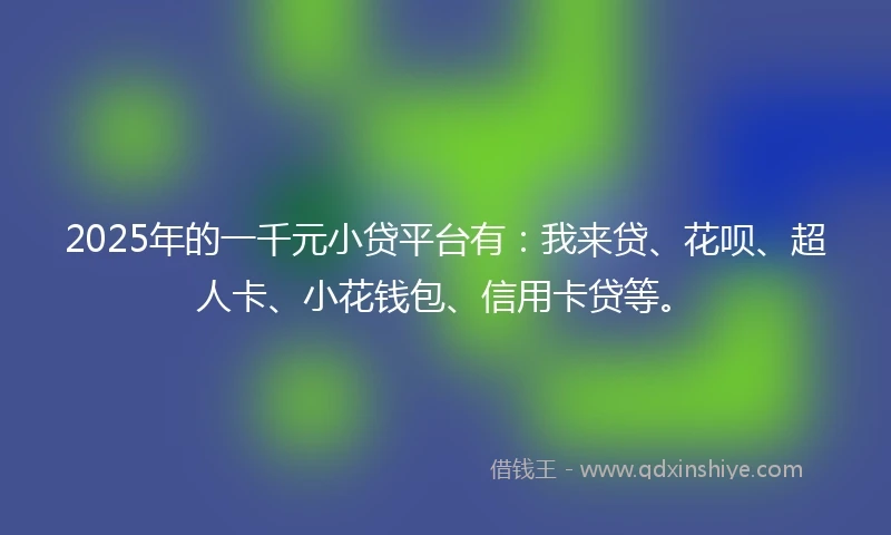 2025年的一千元小贷平台有：我来贷、花呗、超人卡、小花钱包、信用卡贷等。